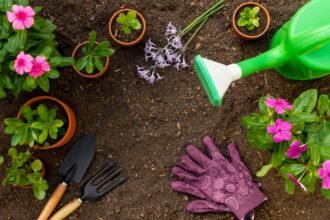 10 ideias de decoração para um jardim pequeno