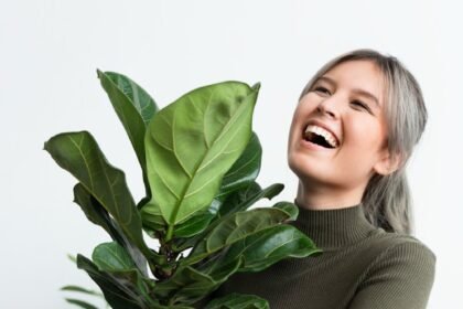 Plantas artificiais: 4 Ótimos motivos para escolhê-las