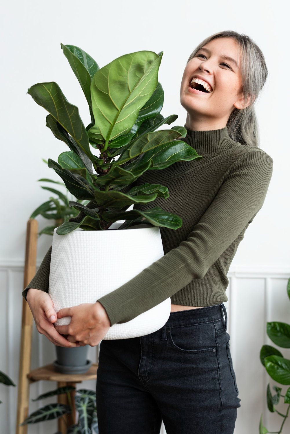 Plantas artificiais: 4 Ótimos motivos para escolhê-las