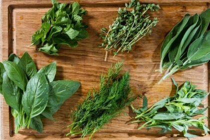 6 Plantas Aromáticas para você cultivar em casa