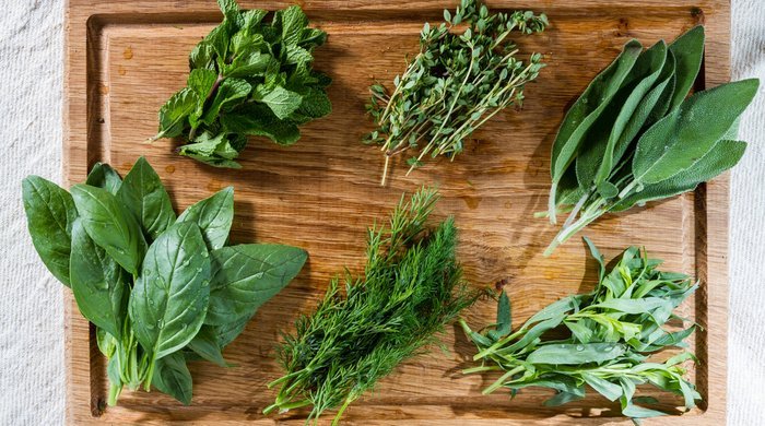 6 Plantas Aromáticas para você cultivar em casa