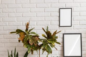 Como montar um espaço com plantas dentro de casa