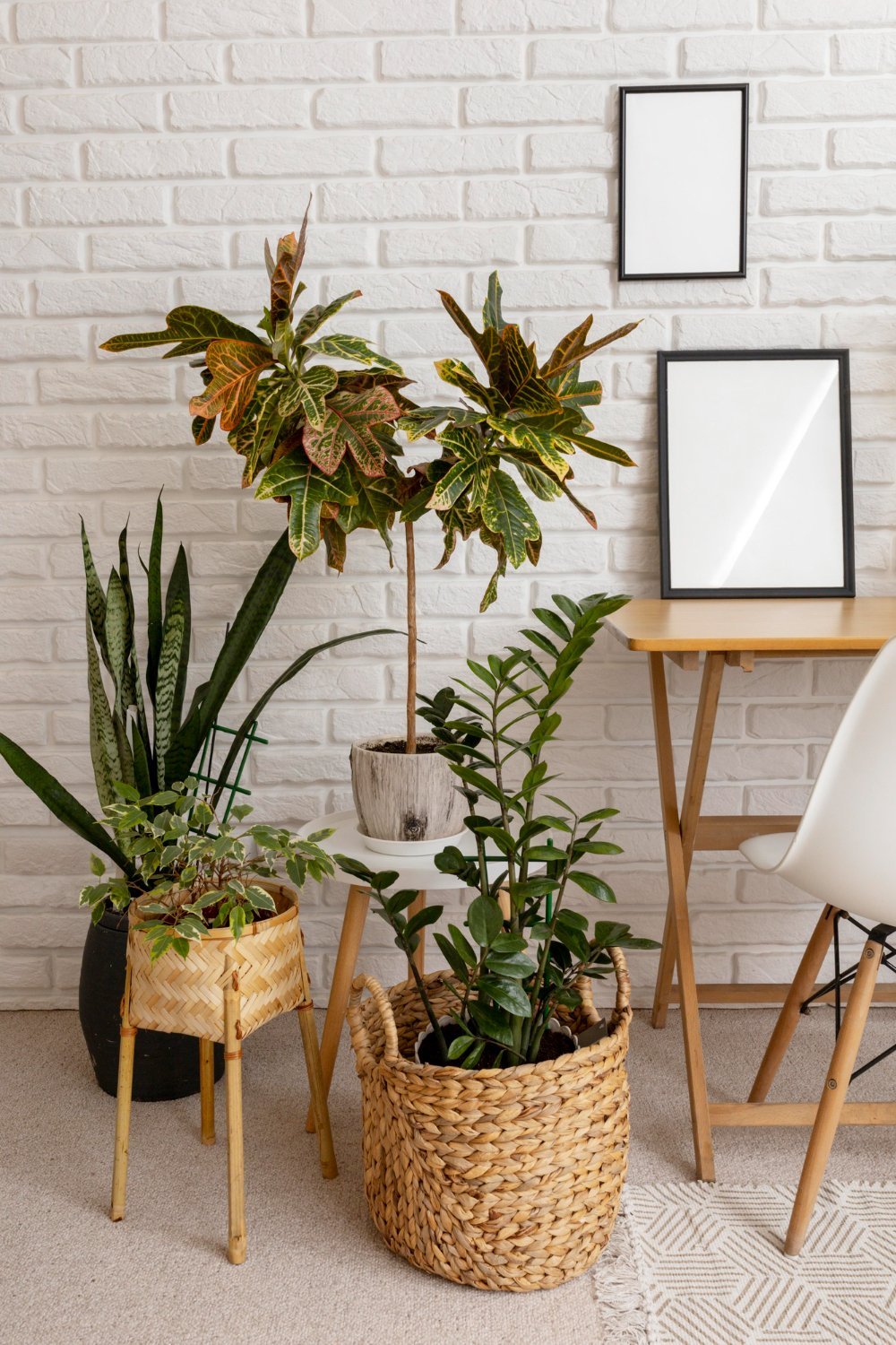 Como montar um espaço com plantas dentro de casa