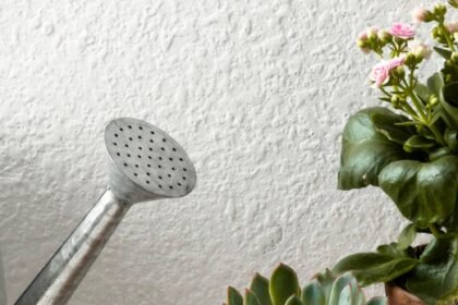 Saiba como escolher o vaso de planta