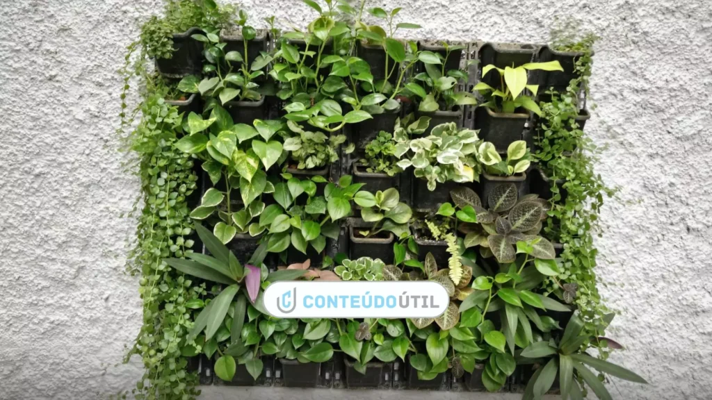 5 Dicas Práticas para Iniciar na Jardinagem-CONTEÚDO ÚTIL.